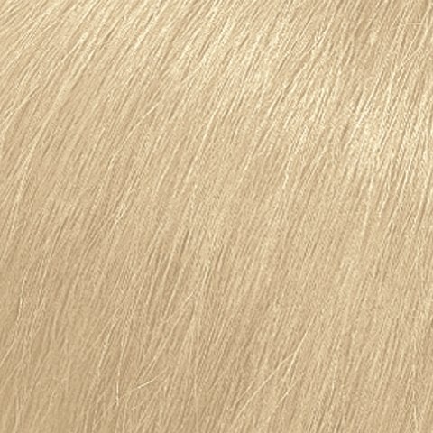 Extra Light Ash Blonde