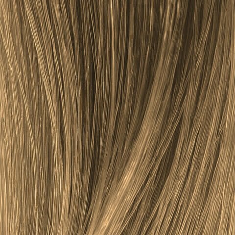 Light Blonde Neutral