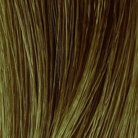 Gold Light Blonde