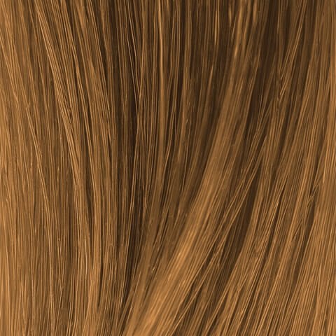 Warm Dark Blonde