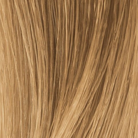 Warm Medium Blonde