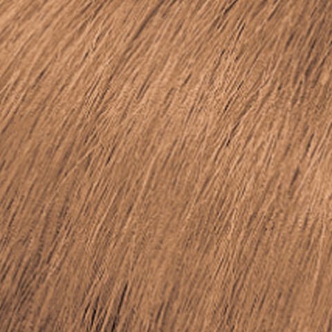 Medium Blonde Mocha