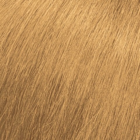  Medium Blonde Warm