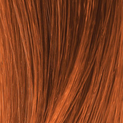 Dark Copper Copper Blonde